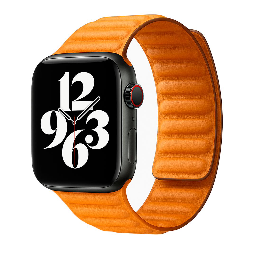Correa pointer Apple Watch